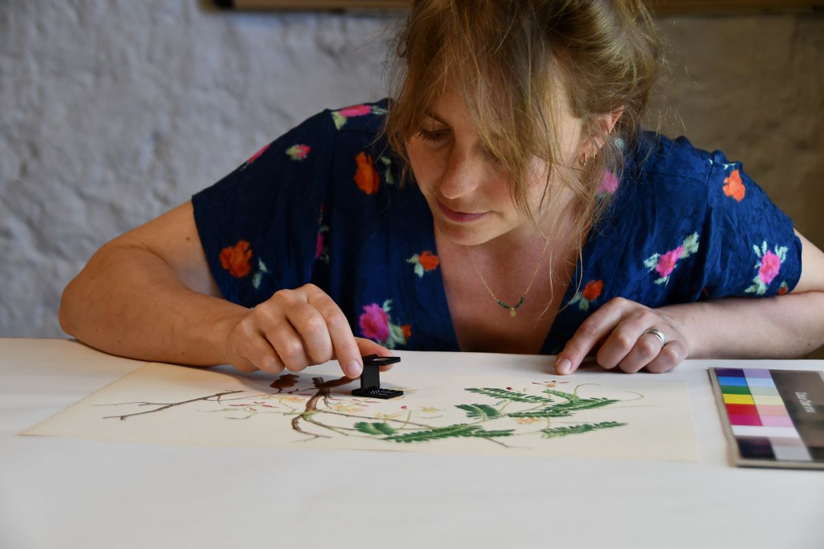 Atelier Julie Tyrlik