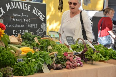 Marché du terroir