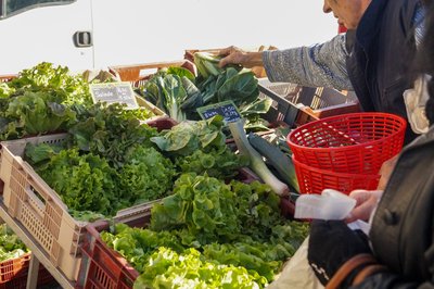 Marché de Joyeuse