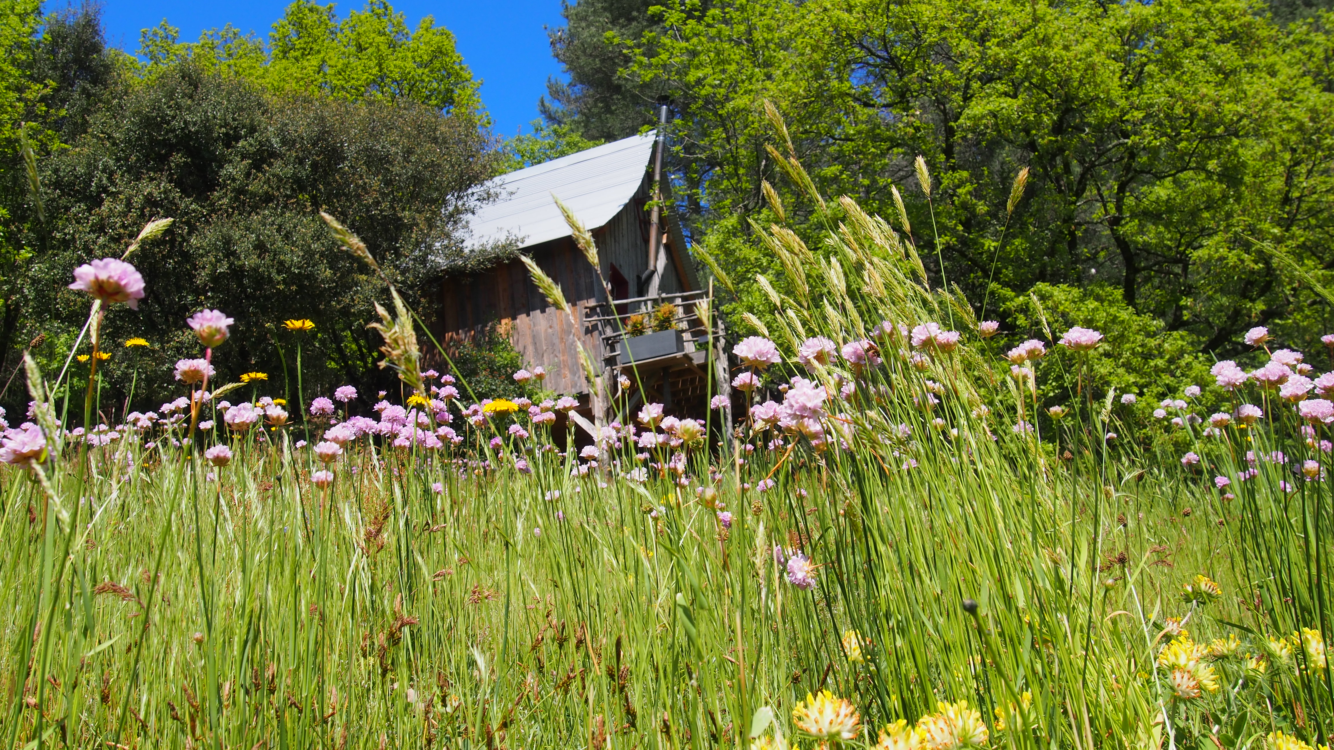 Cabane perchée La Polette