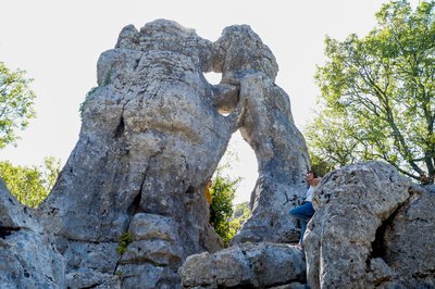 L'ours et le lion