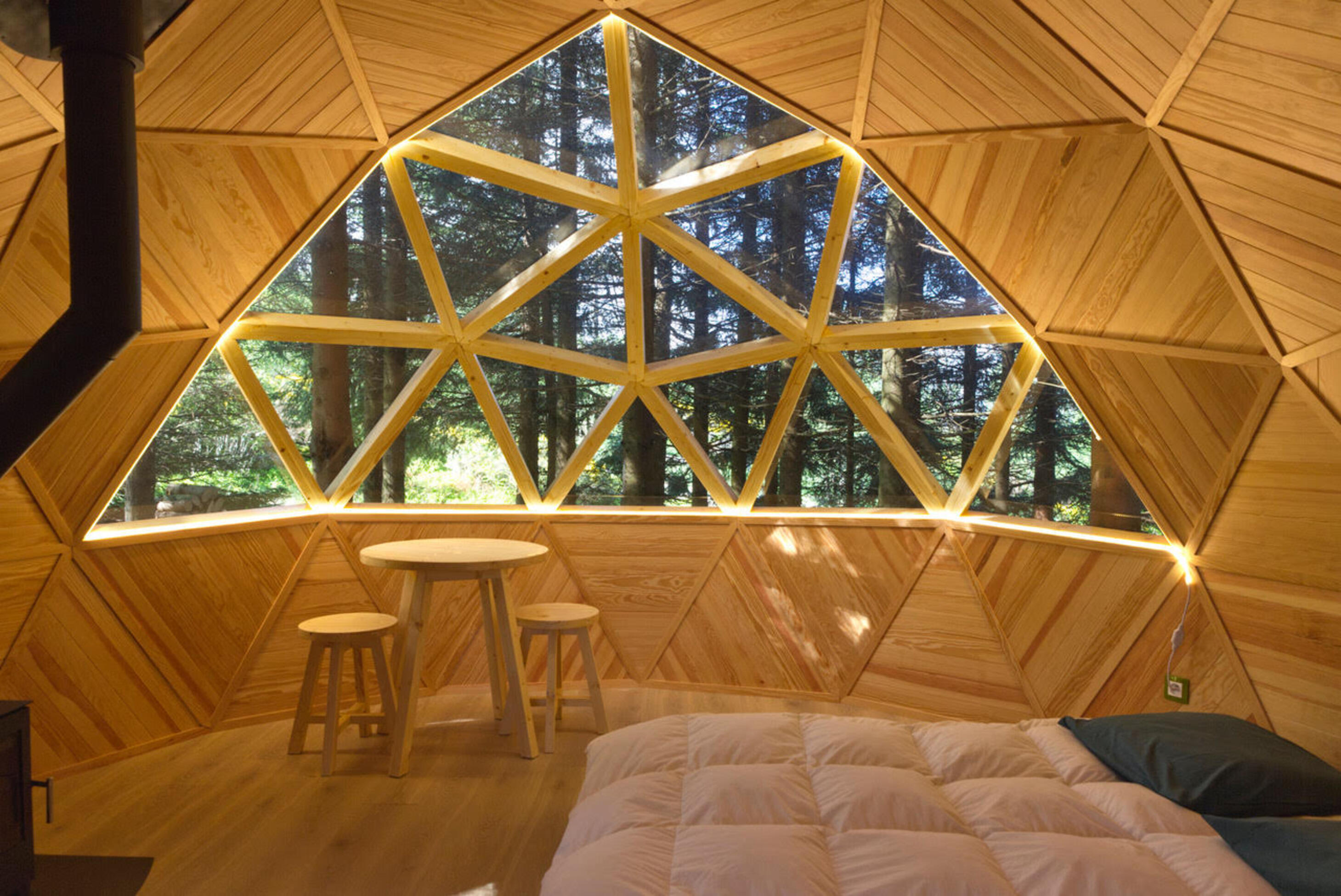Dôme forêt intérieur