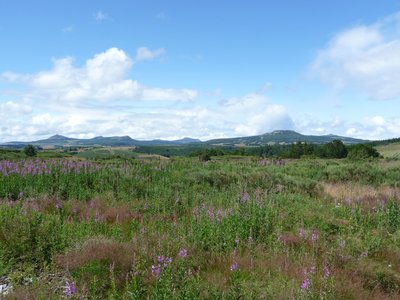 Vue sur les sucs