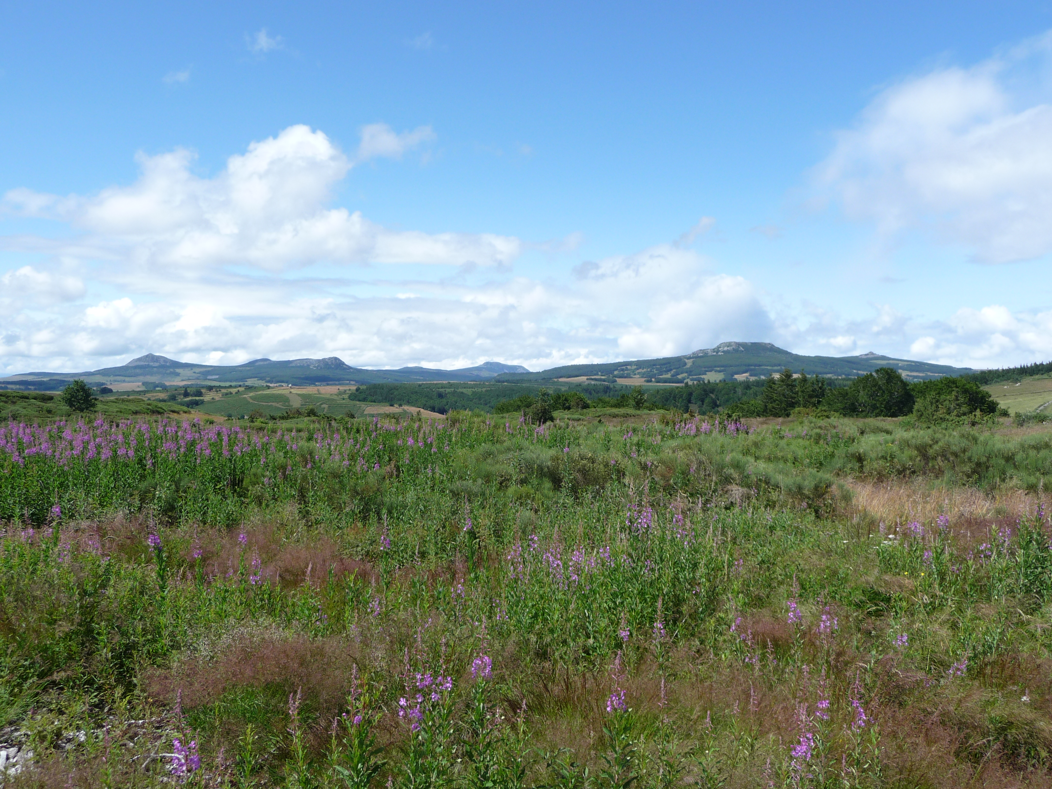 Vue sur les sucs