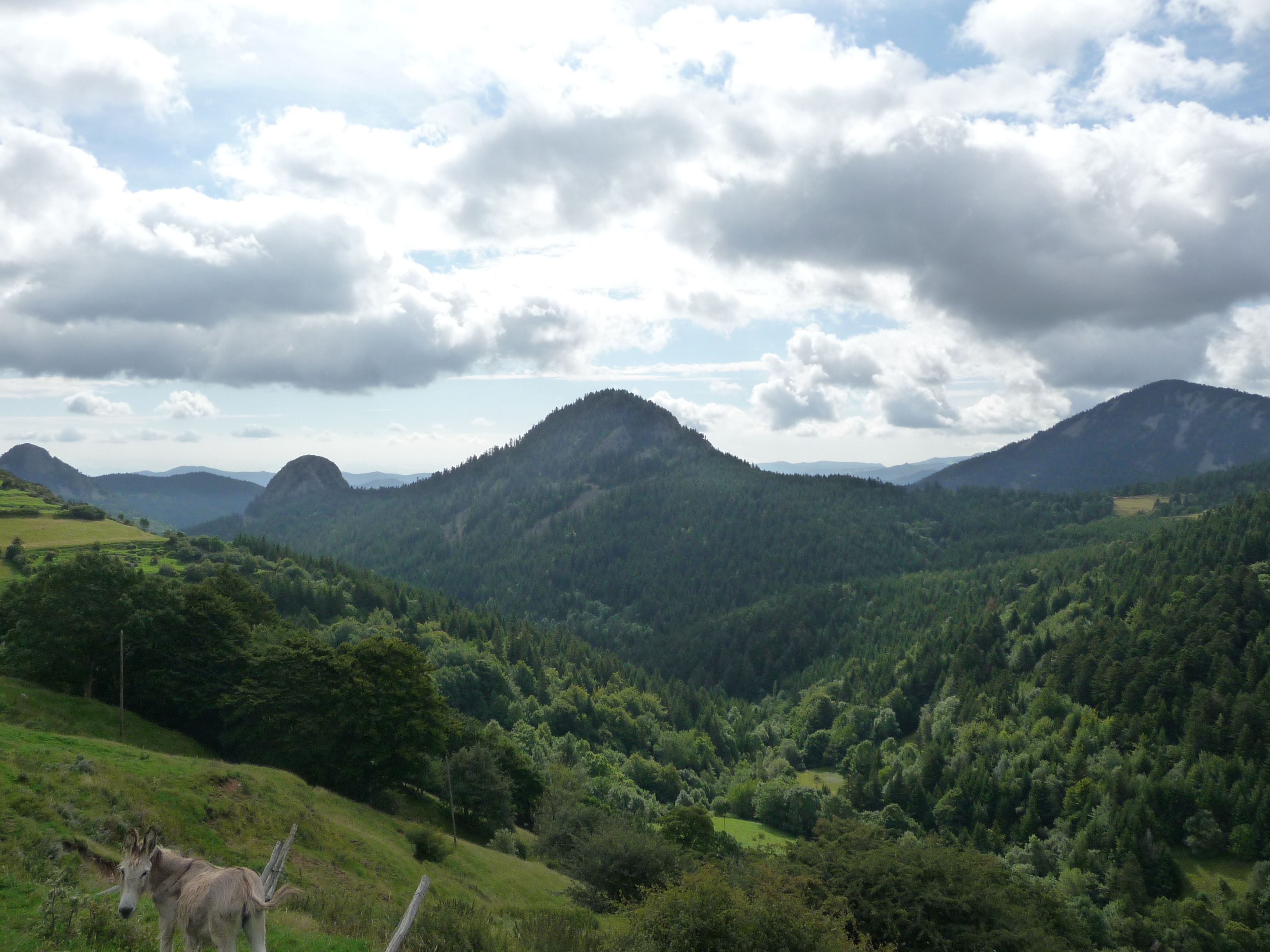 Touron