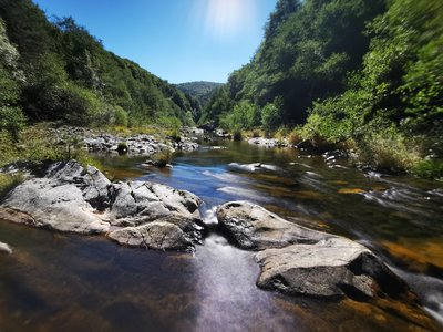 Les sources de la Loire_Sainte-Eulalie