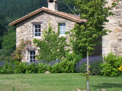 Les lavandes