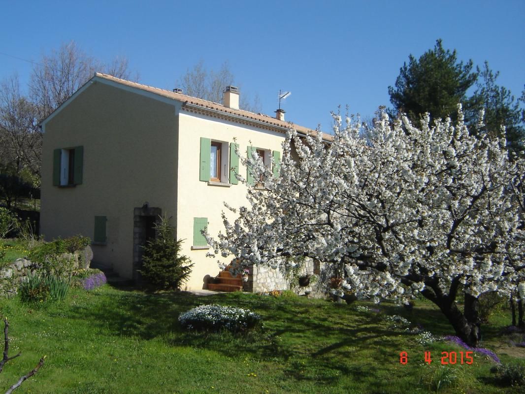 le cerisier qui prépare ses fruits....