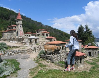 Village miniature