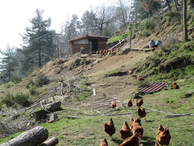 La ferme du Mont