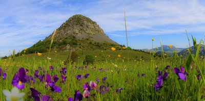 Le Mont Gerbier de Jonc_Saint-Martial