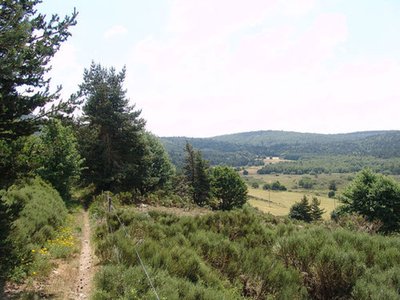 Chemin au dessus du Plagnal