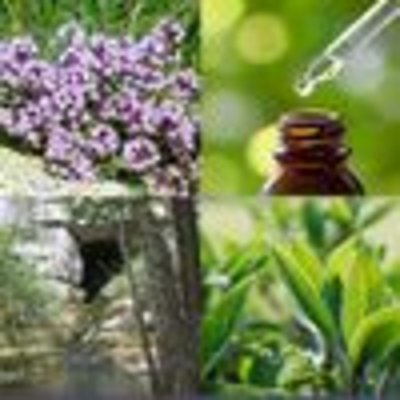 Distillerie du Bois de Païolive : Huilles essentielles et plus encore..._Banne