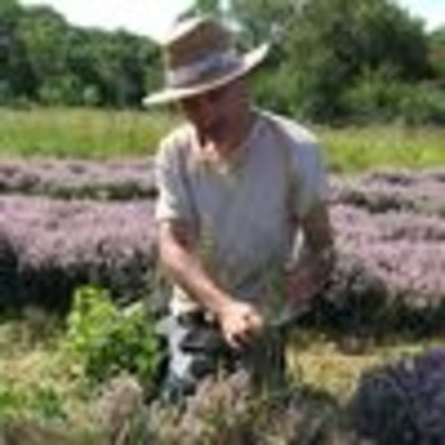 Distillerie du Bois de Païolive : Huilles essentielles et plus encore..._Banne