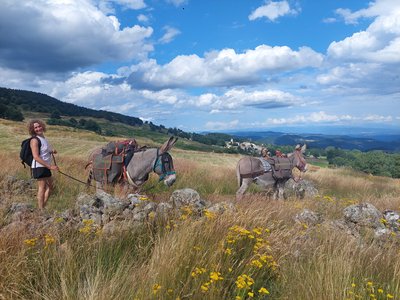 Balade avec âne