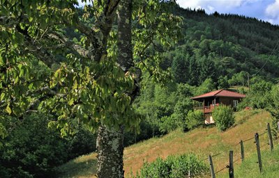 Le Chalet Du Bourget N°1