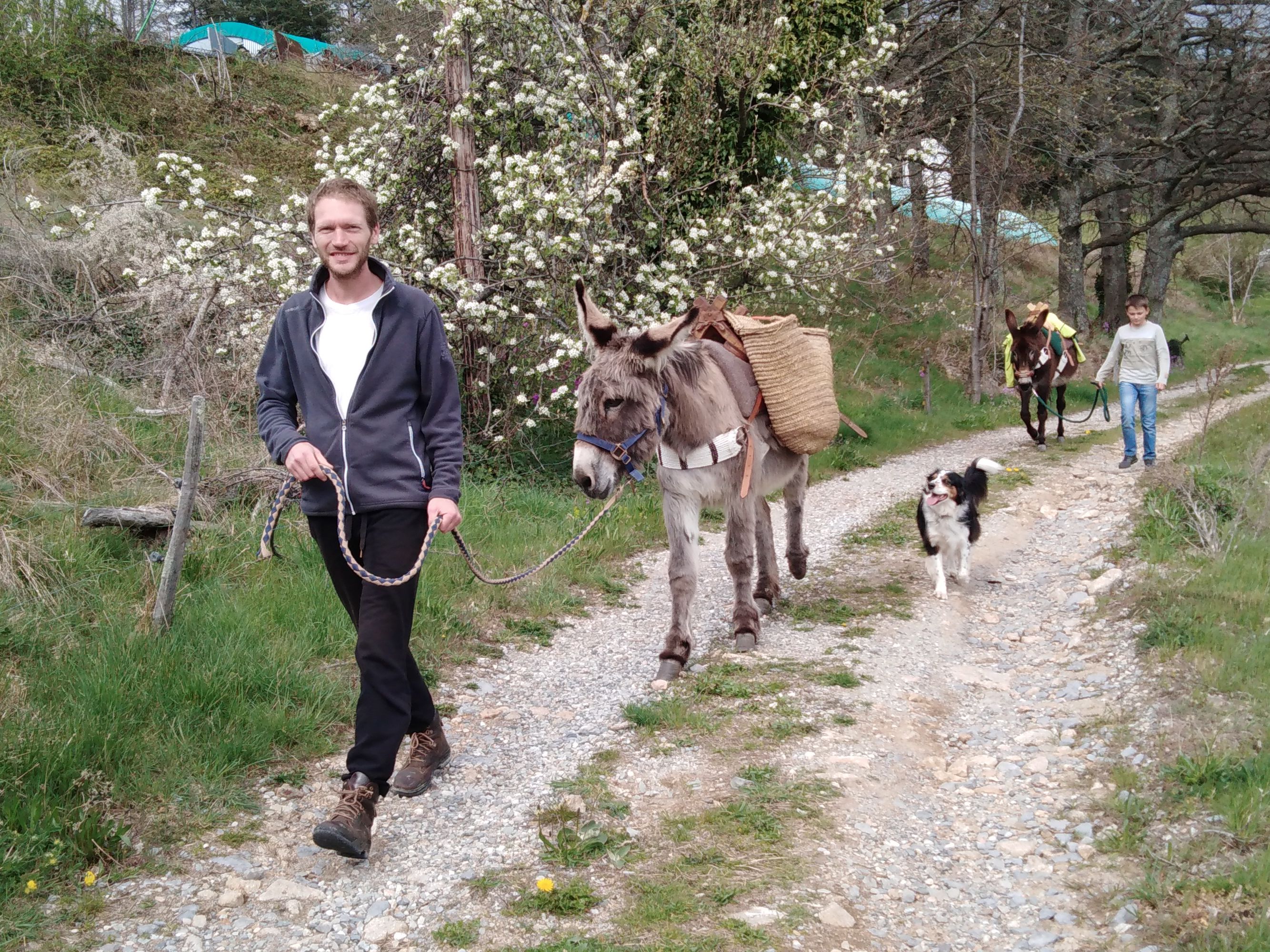 Randonnée avec les ânes