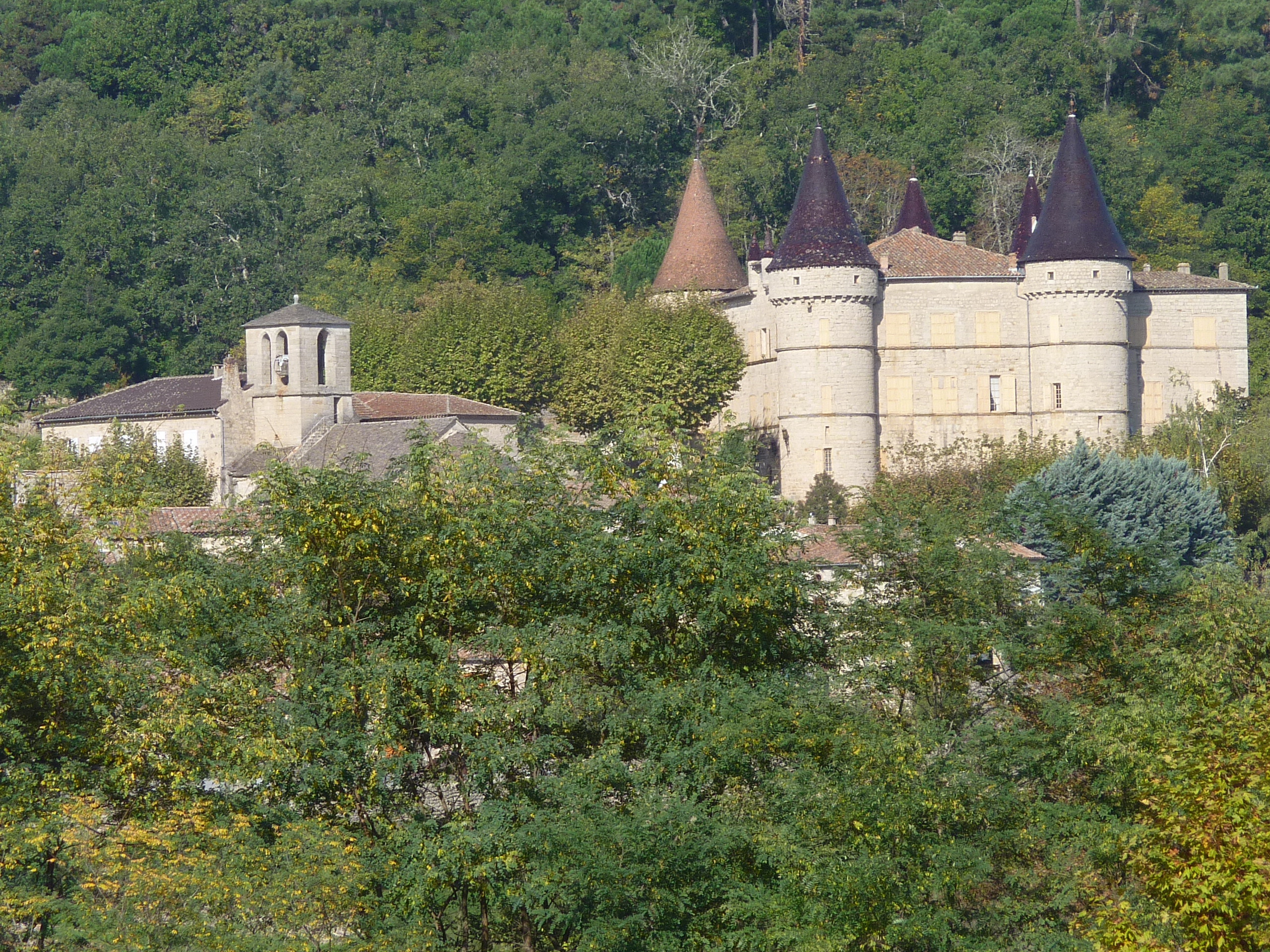 Château de Chambonas
