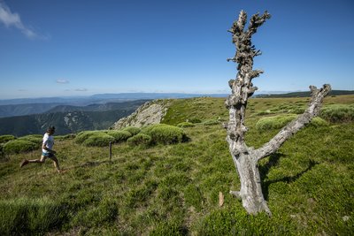 Trail beaume drobie valgorge