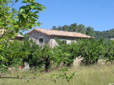 Bienvenue au Brin d'Osier