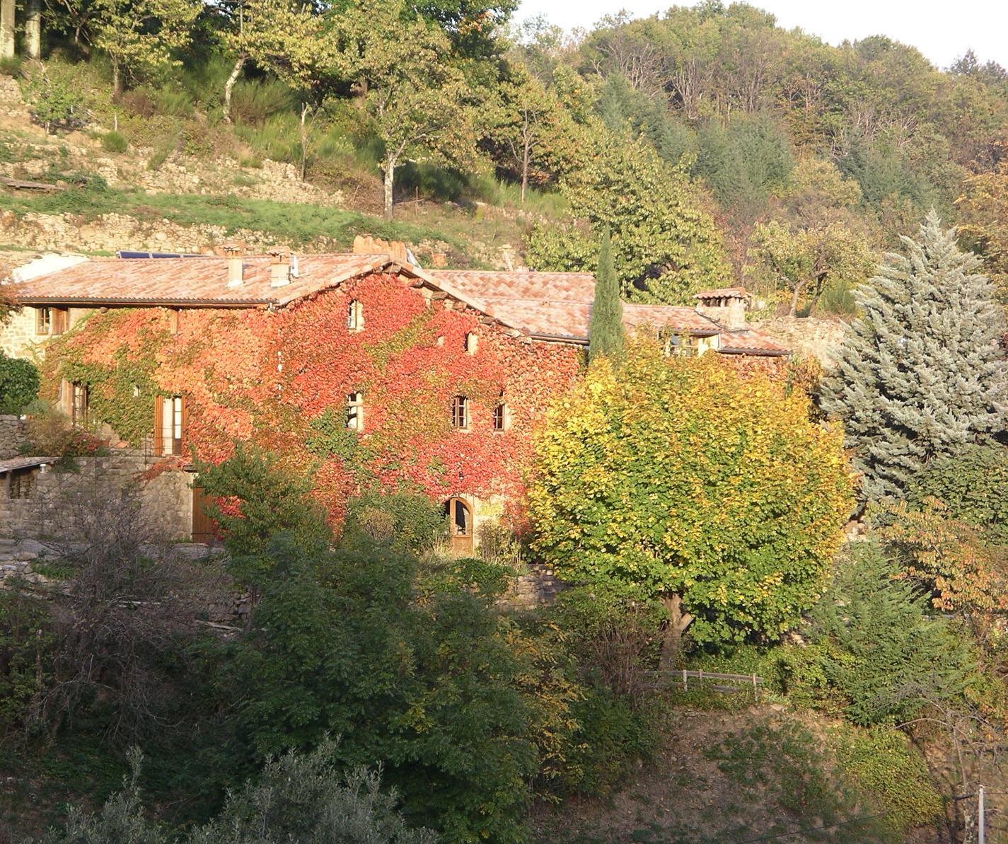 L'étincelle©MarineLaurent