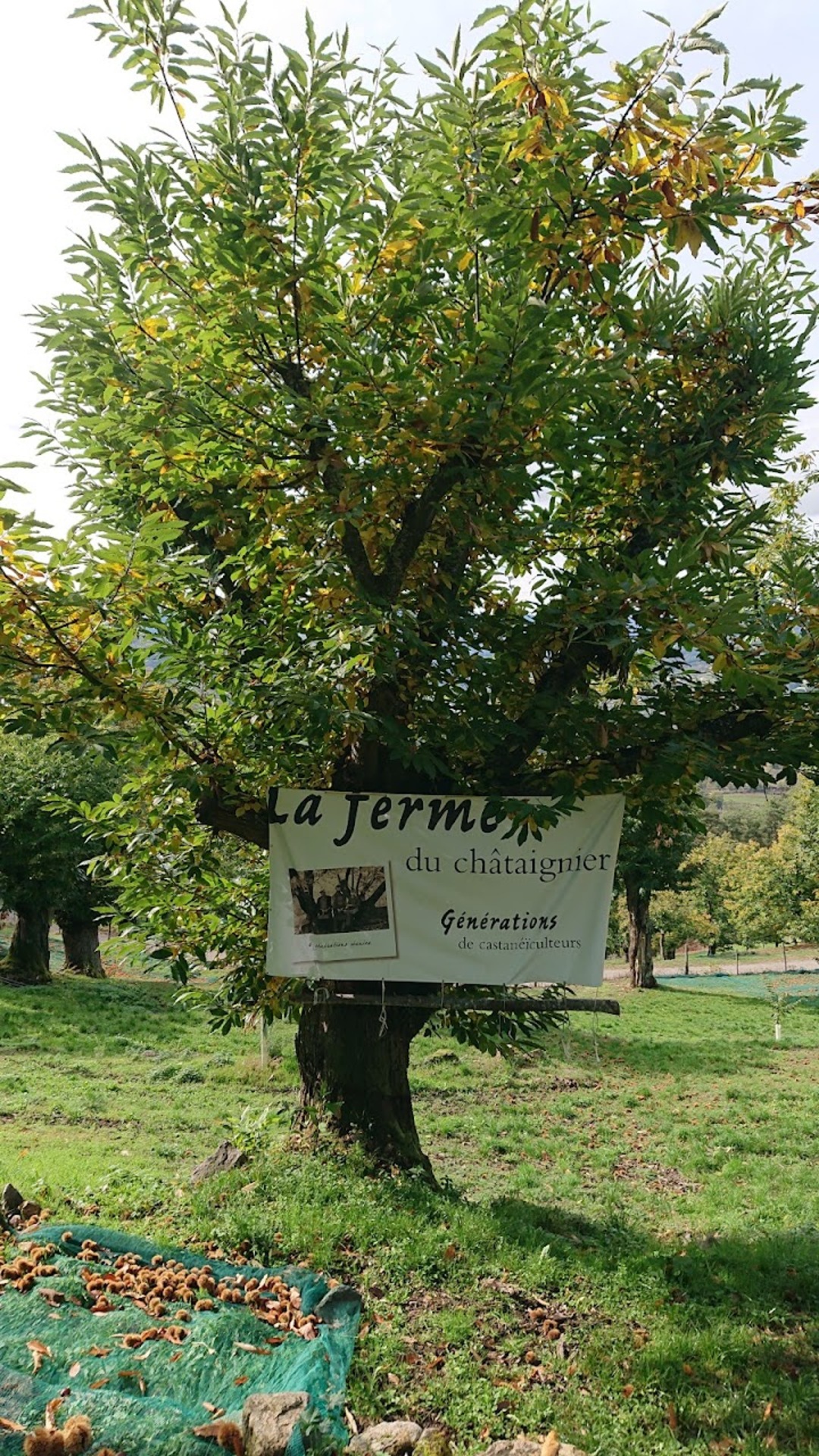 La ferme du châtaignier_Lamastre