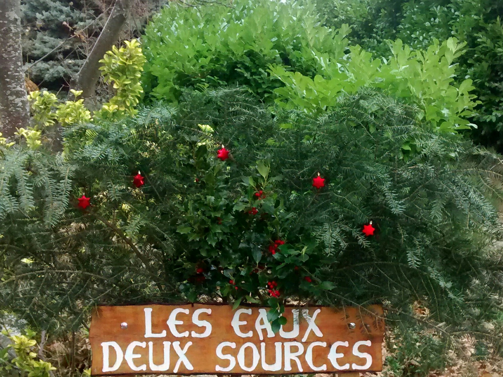 à l'entrée de la propriété