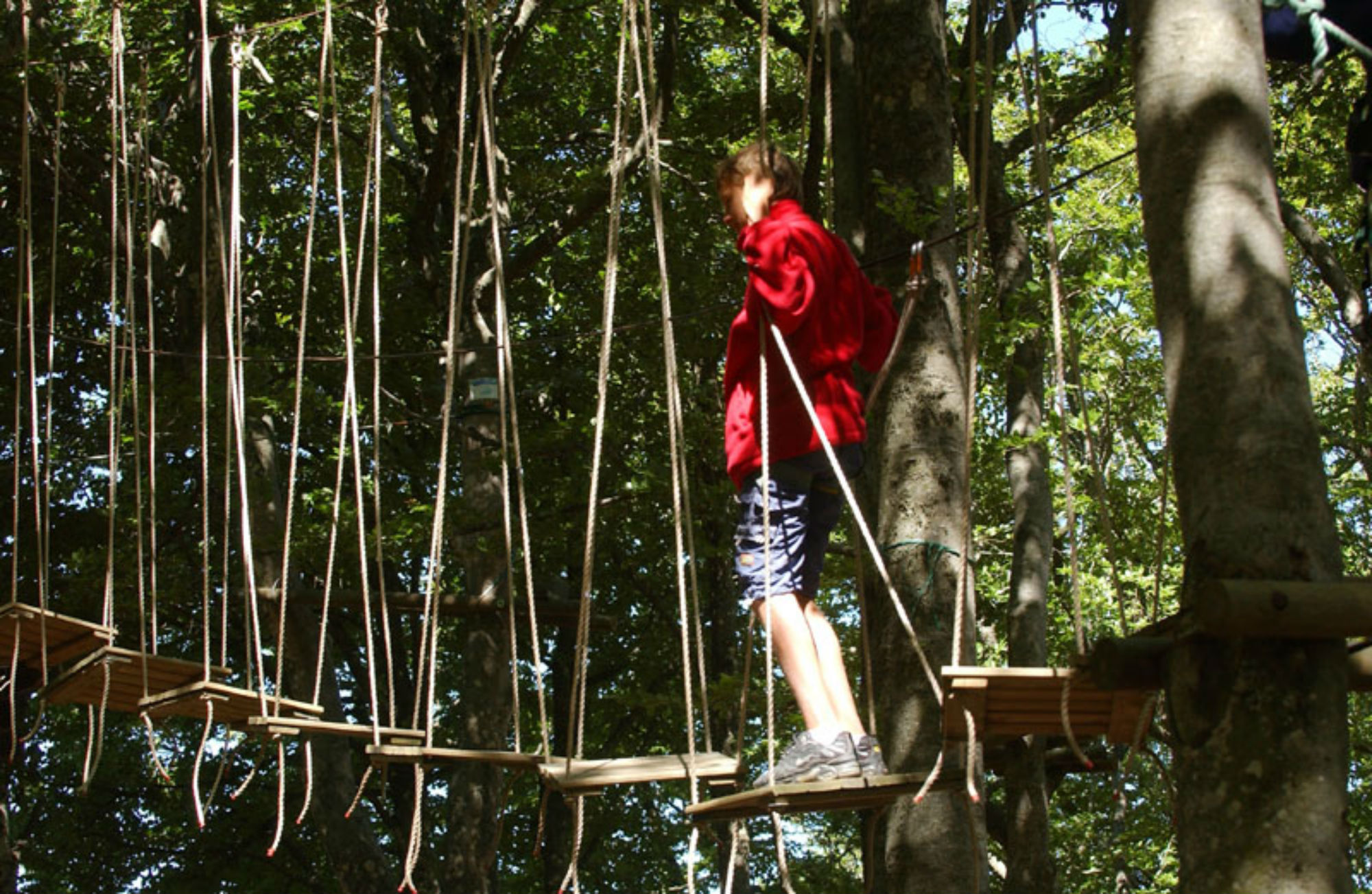 Parcours Accrobranche Tarzan