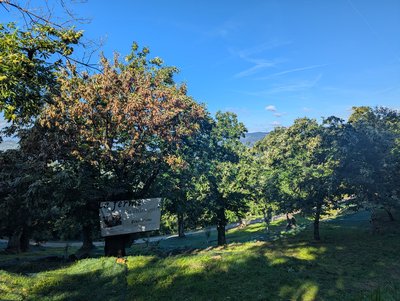 LA FERME DU CHÂTAIGNIER