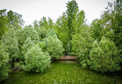 Passerelle en immersion