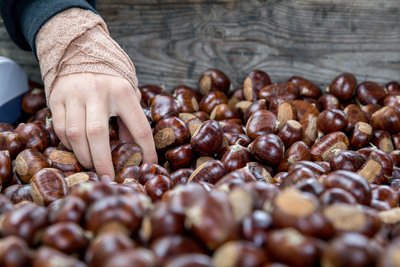 CASTANAÏS - Cosméto - châtaigne