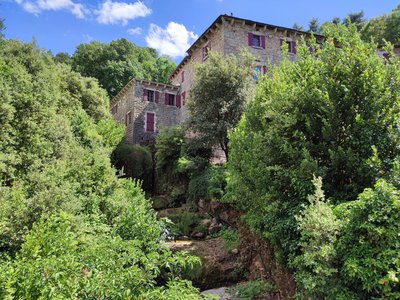 Aqua Terra Silva Tilleul Gravières