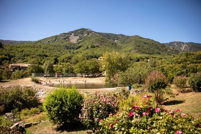 La Souche - Plan d'eau en fleurs ©sourcesvolcans