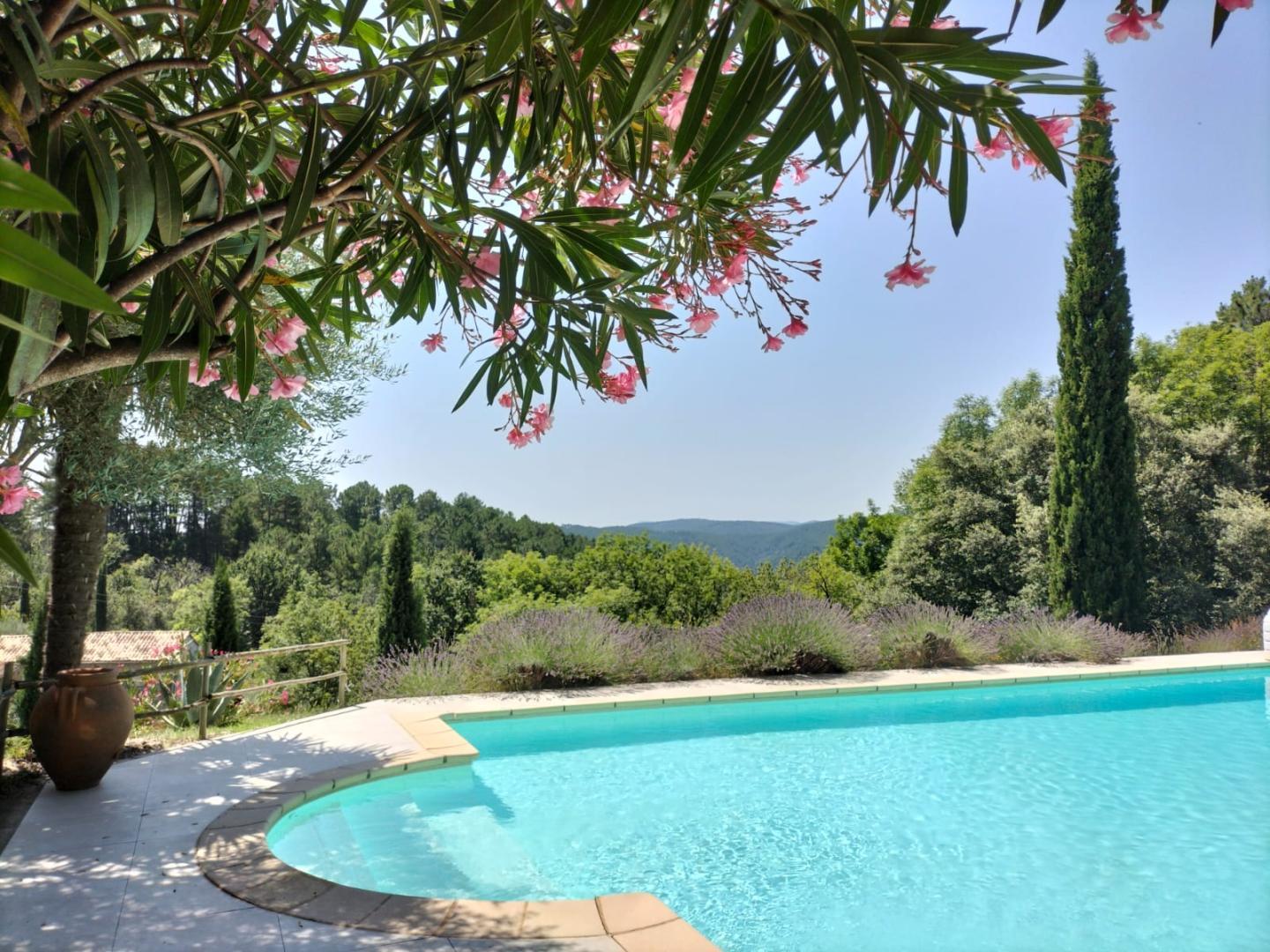 Vue panoramique de la piscine