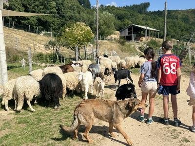 Ferme Estival_Alboussière