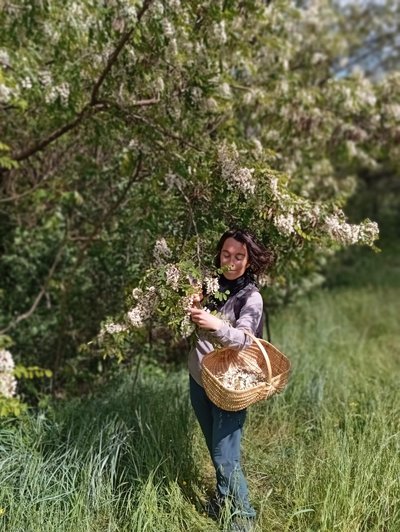 Aqua Terra Silva Plantes