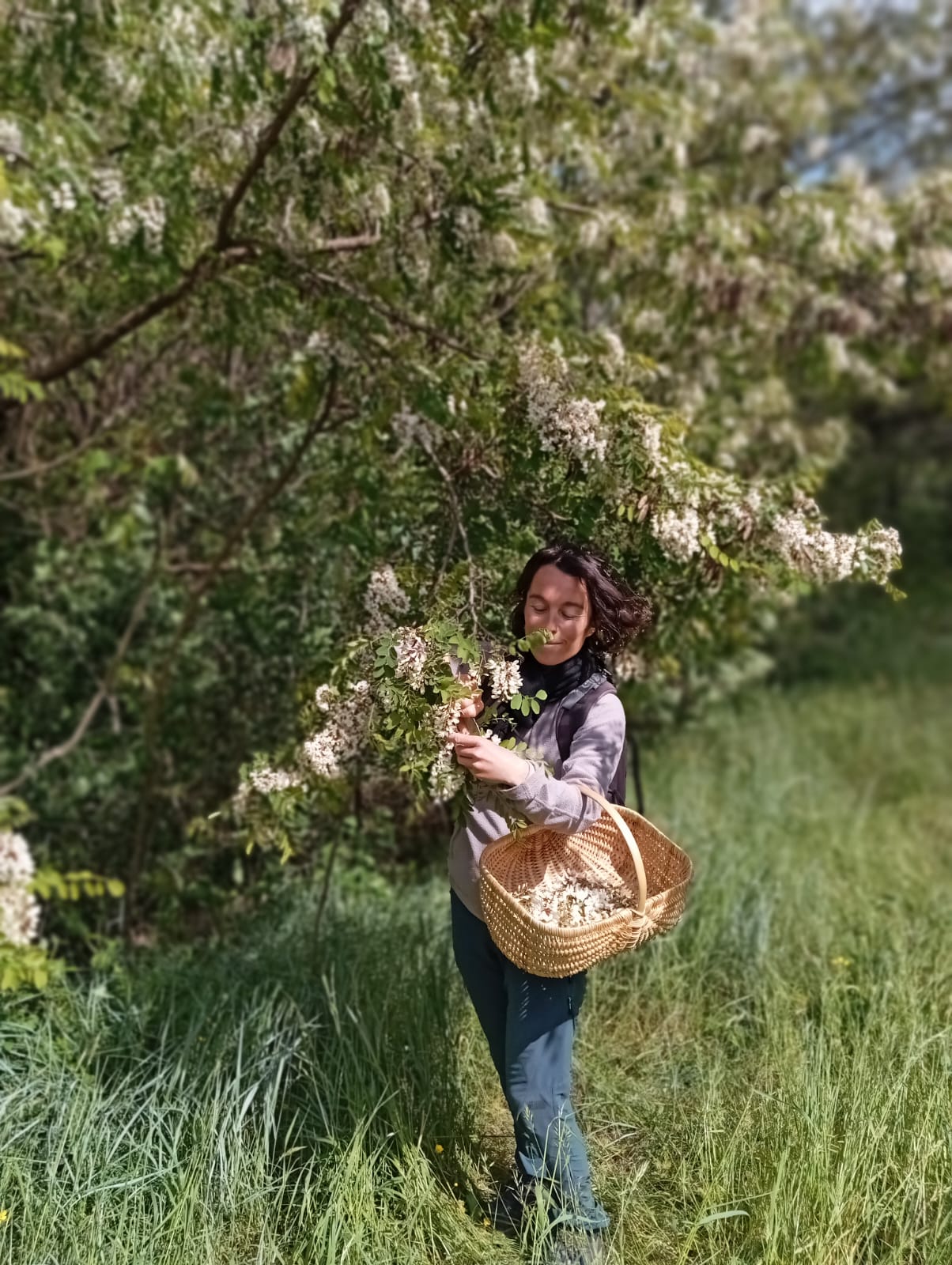 Aqua Terra Silva Plantes