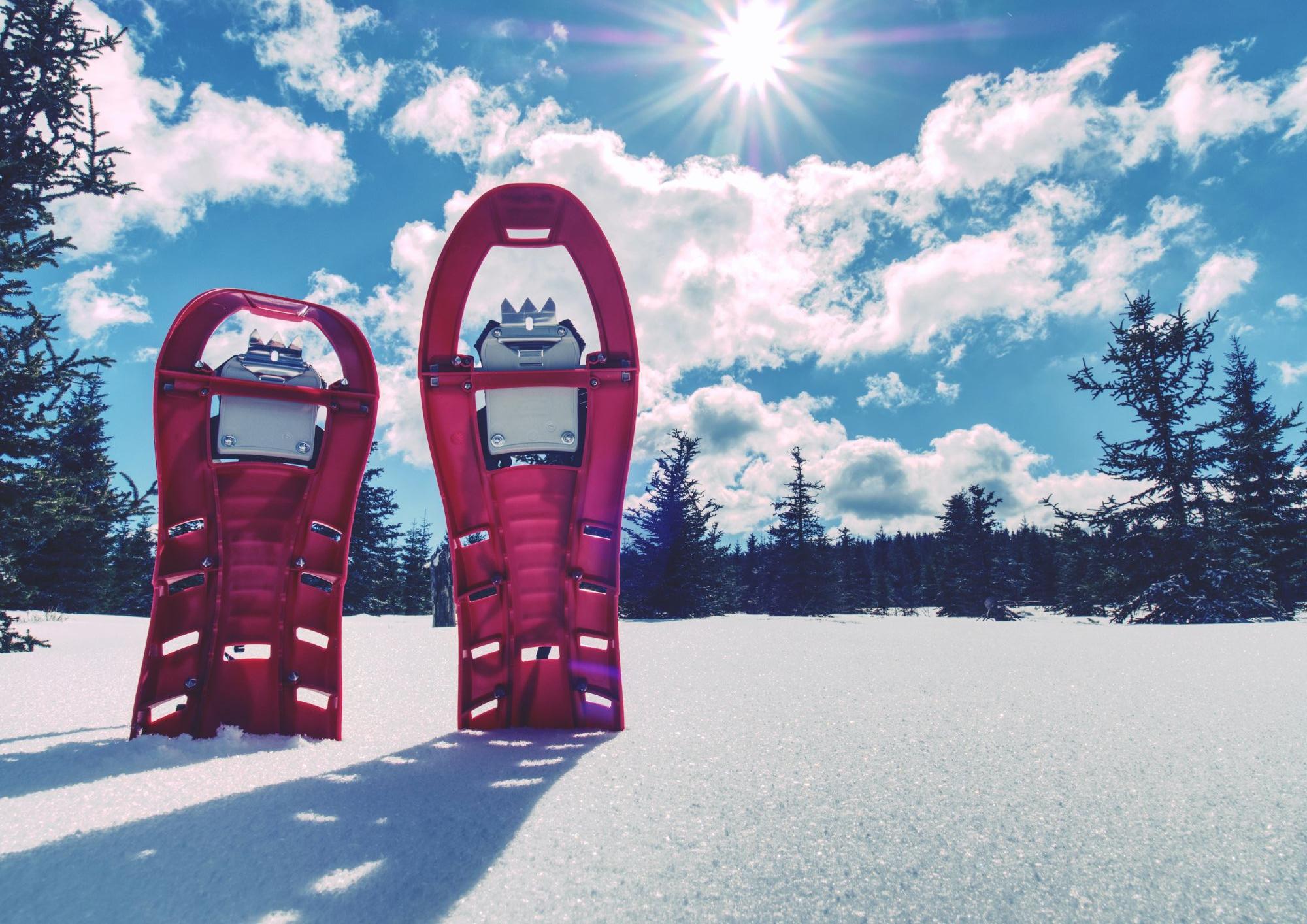 Espace Nordique du Pal_Saint-Cirgues-en-Montagne