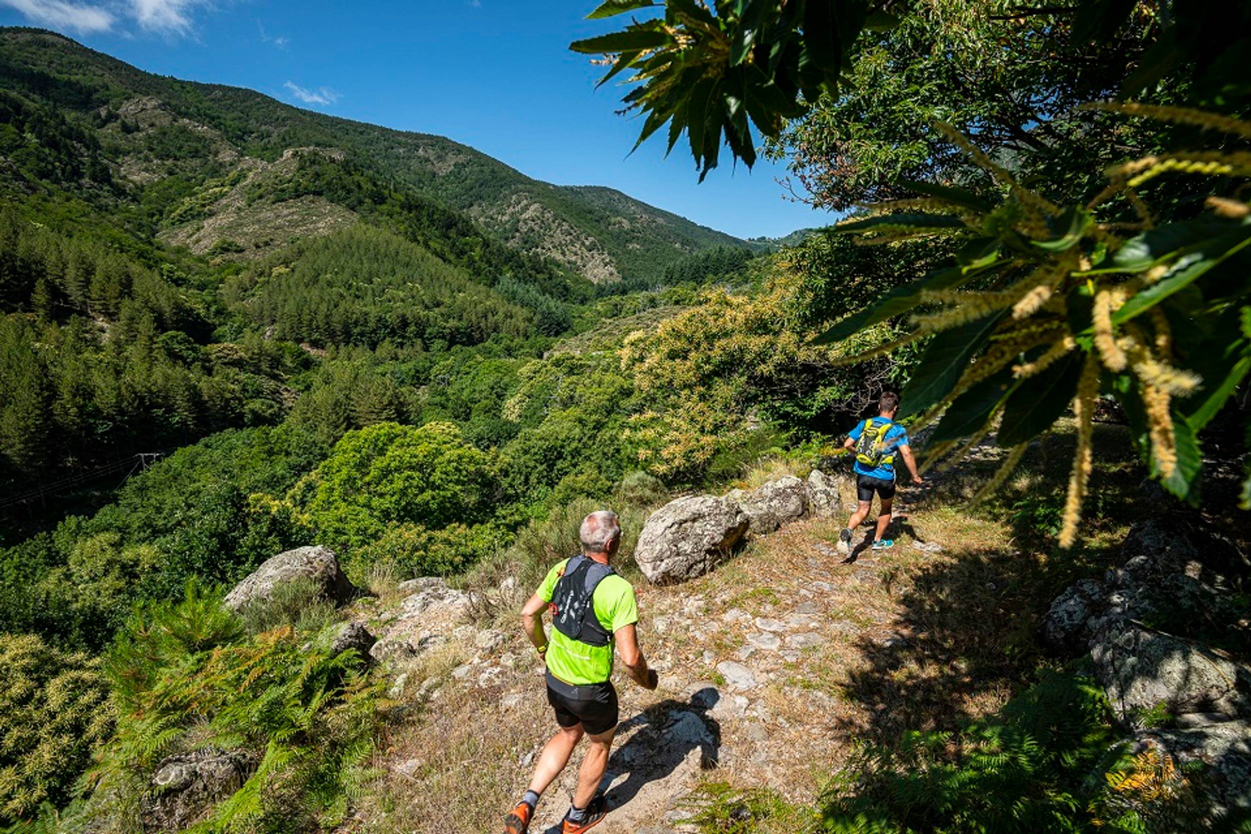 Trail Beaume Drobie