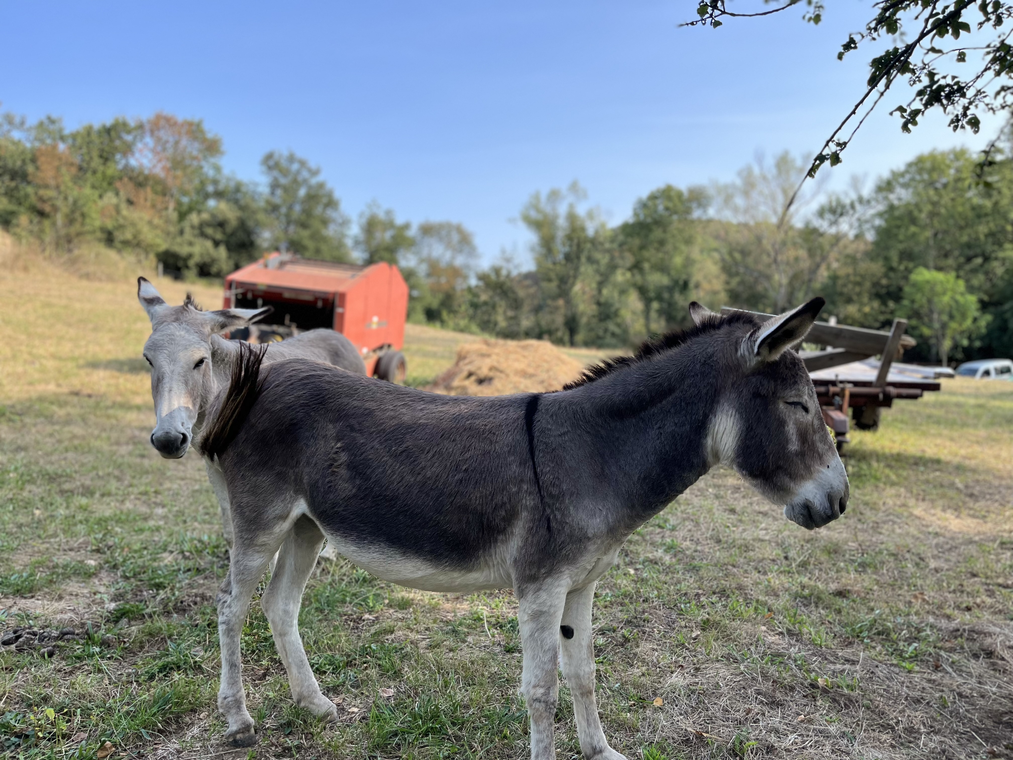 Ferme de Samson_Saint-Péray