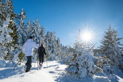 Raquette au Mézenc