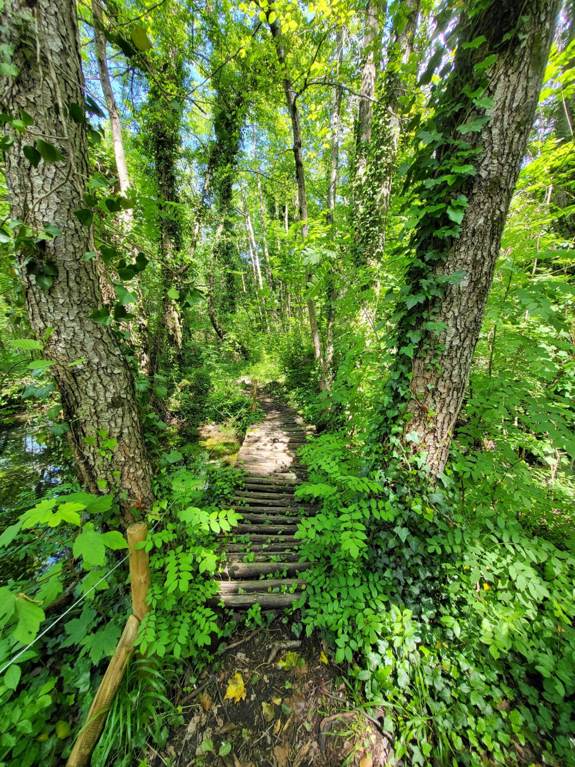 Trucs et astuces de trappeurs_Jaujac