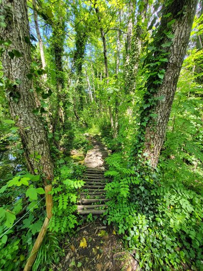 Trucs et astuces de trappeurs_Jaujac