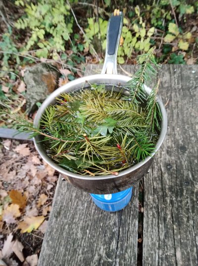 Trucs et astuces de trappeurs cévénols_Jaujac