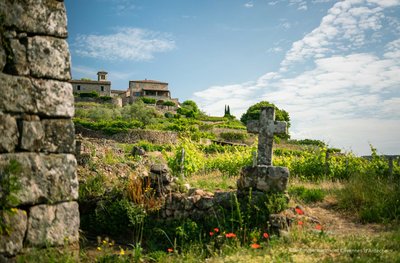 Trail le sentier des crouvelus ribes