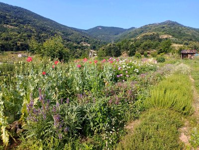 La Ferme du Merlanson