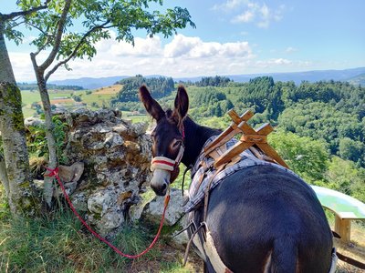Randonnée avec les ânes
