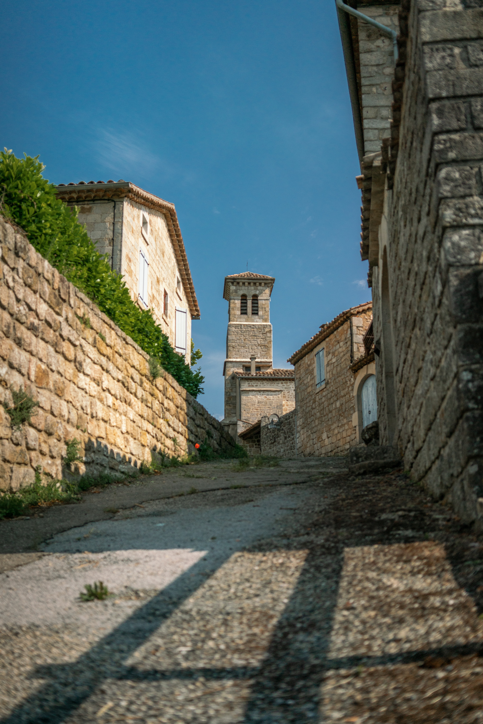 Ribes Cevennes d'Ardèche