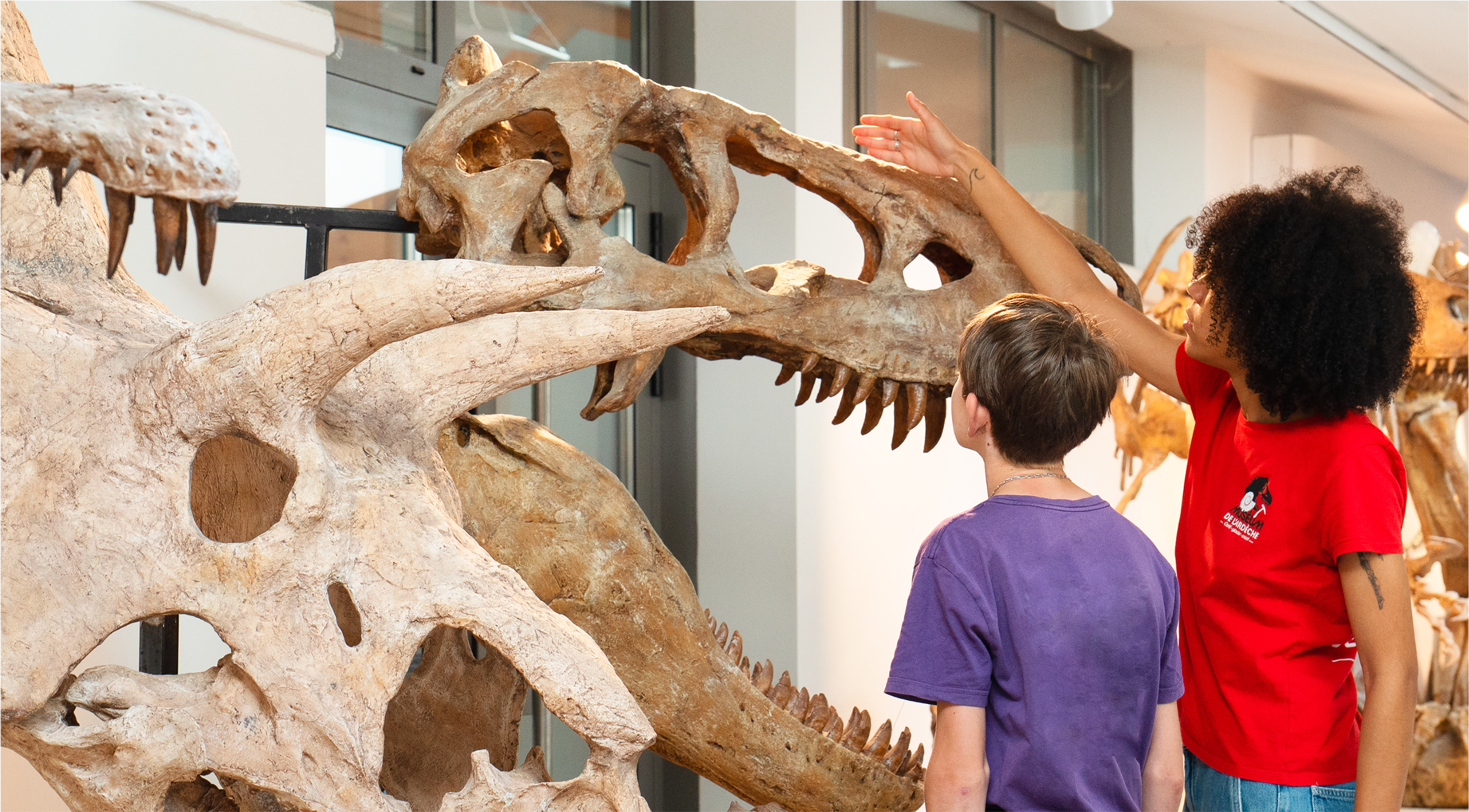 Galerie aux Dinosaures