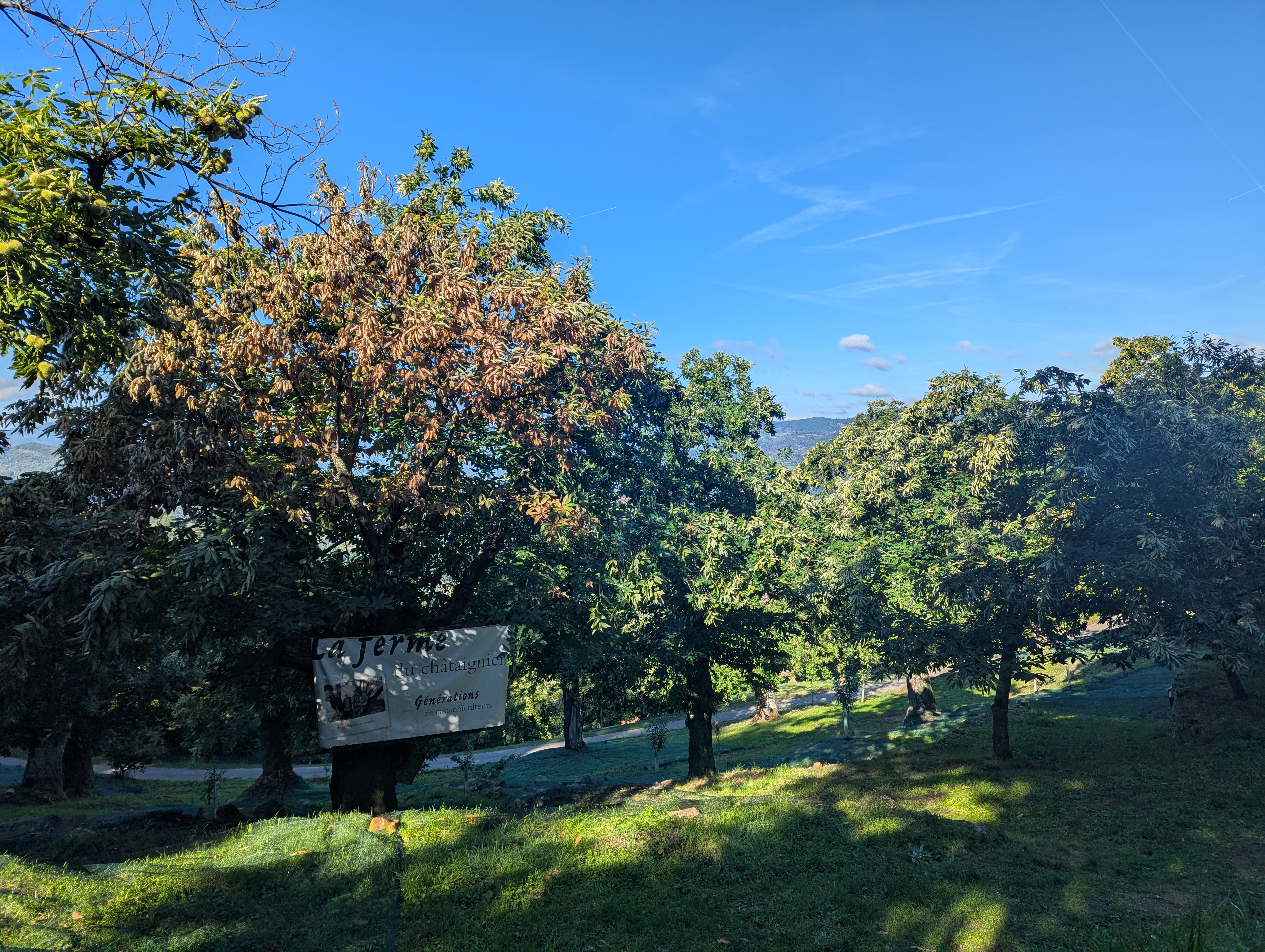 LA FERME DU CHÂTAIGNIER